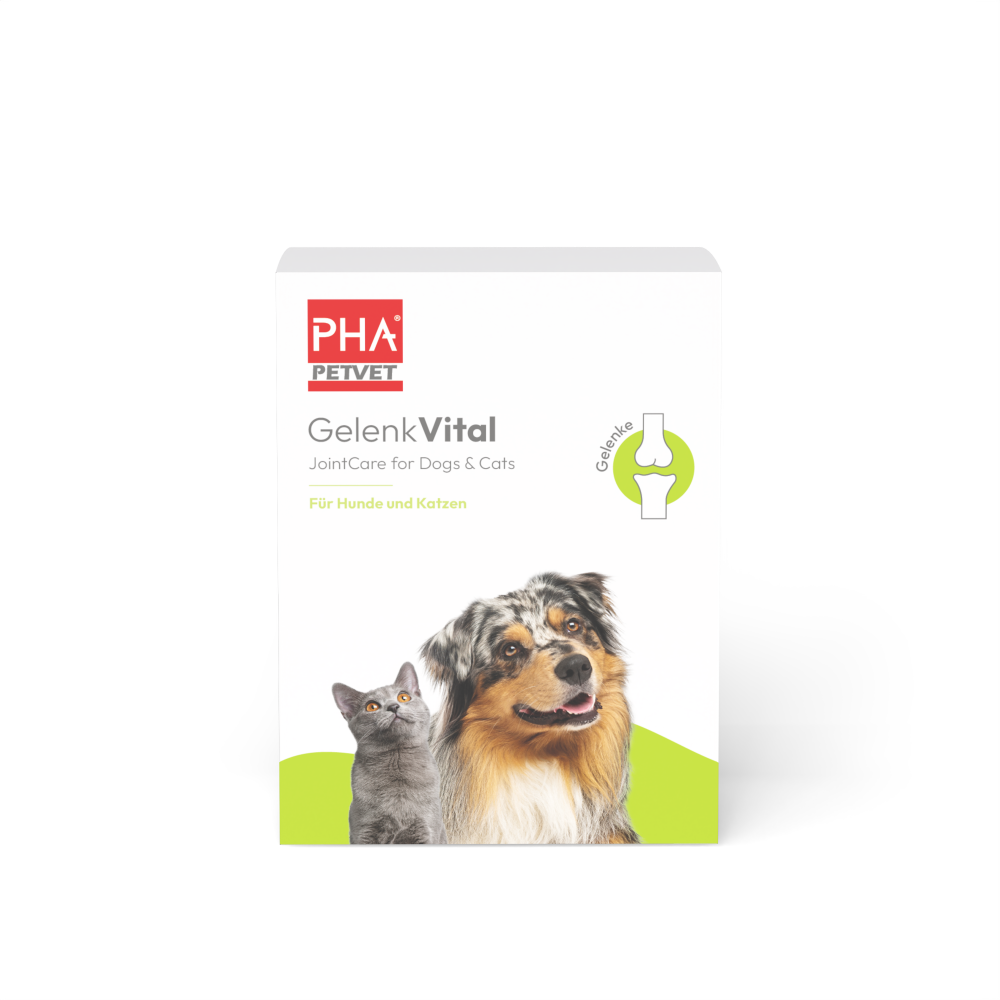 PHA GelenkVital für Hunde & Katzen 150 g